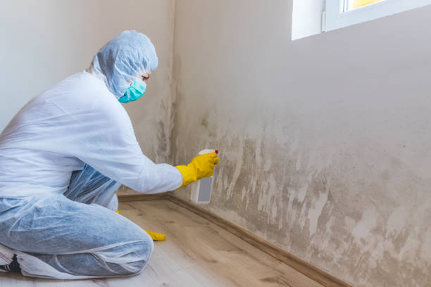 Mold Remediation specialist working in Garrett