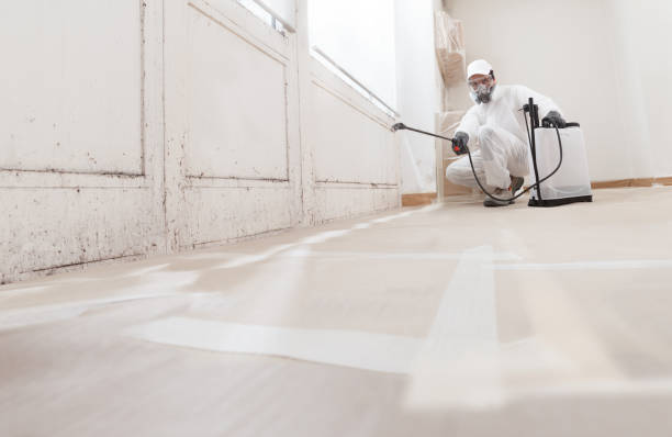 Black mold remediation team in Garrett